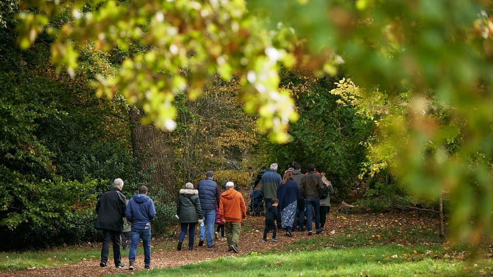 Oxford: Harcourt Arboretum Entry Ticket - Exploring the Arboretum