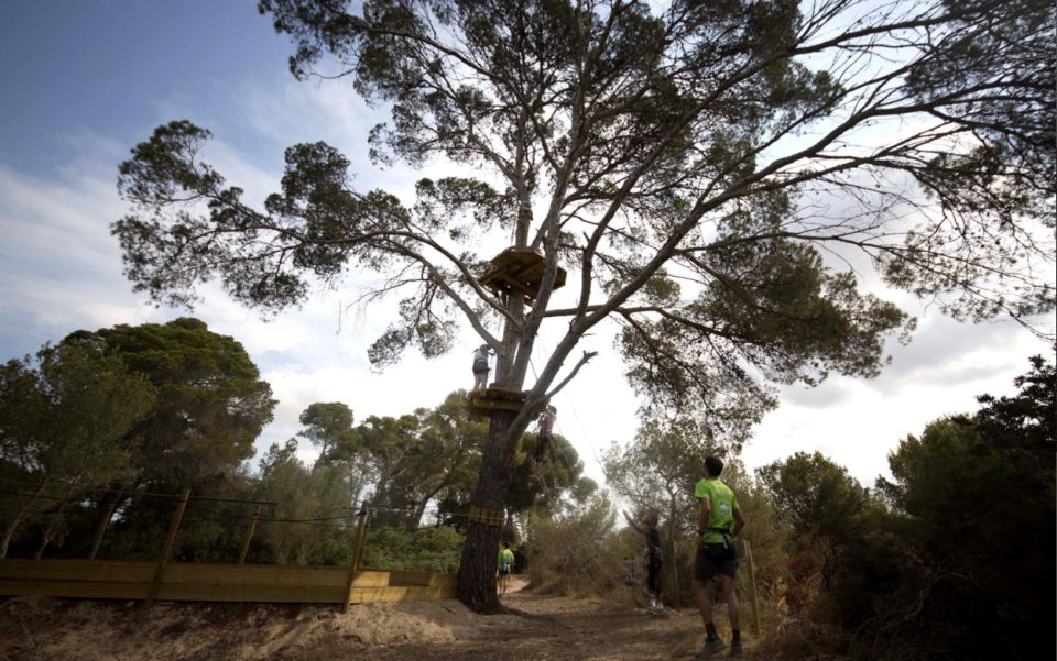 Palma: Family or Sports Course Adventure at Forestal Park - Important Considerations