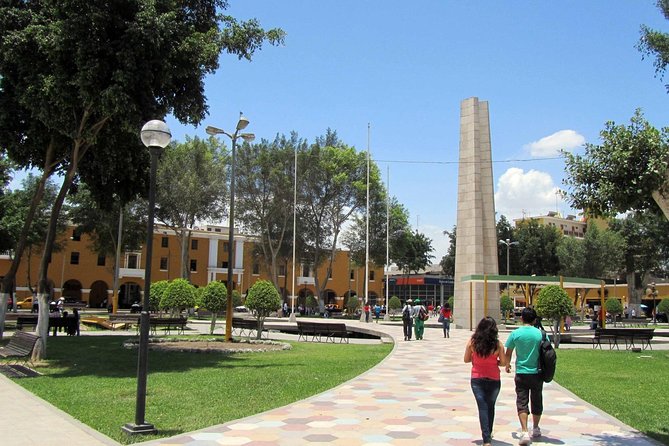 Paracas and Ica Full Day From Lima - What to Expect