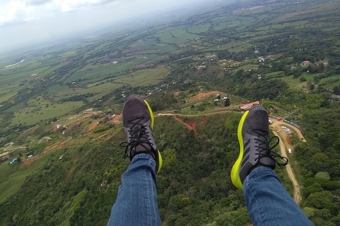 Paragliding + Bello Horizonte Swing + Hacienda El Paraíso + Santa Helena - Glowing Reviews and Ratings