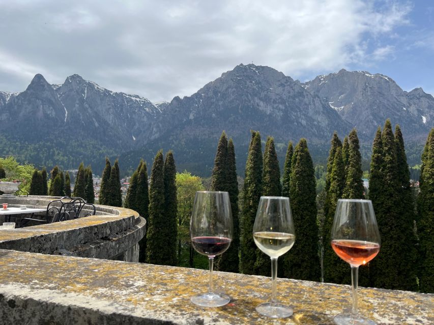 Peles & Cantacuzino Castles: Gourmet Wine & Cultural Trip - Nearby Attractions