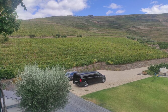 Peso Da Régua Private Douro Valley Tour - Scenic Douro River Boat Ride