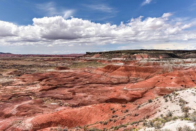 Petrified Forest National Park Self-Guided Driving Audio Tour - Navigating the Tour