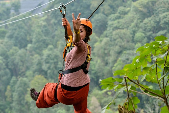 Phoenix Adventure Park Ziplining - Tips for Visiting