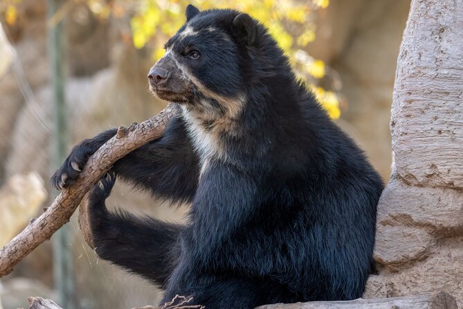 Phoenix Zoo Admission Ticket - Booking and Cancellation Policy