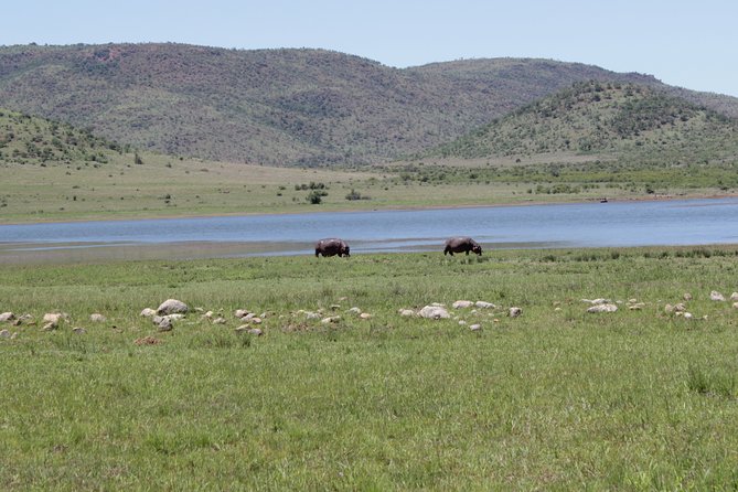 Pilanesberg National Park Full-Day Tour From Johannesburg - Frequently Asked Questions