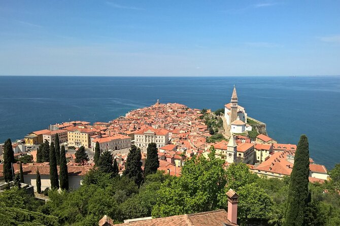 Piran and Portoroz Pearls of the Slovenian Adriatic Coast Half Day Trip From Ljubljana - Exceptional Customer Reviews and Feedback