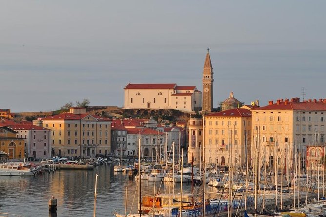 Piran and Scenic Slovenian Coast-Private Experience From Koper - Taking in Local Slovenian Culture