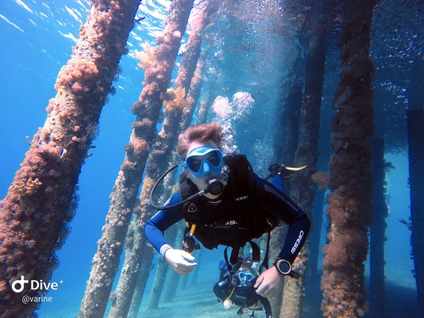 Pivate Scuba Diving in the Red Sea of Aqaba - Customer Feedback and Ratings