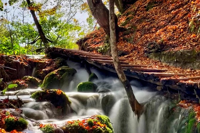 Plitvice Lakes National Park - Private Day-Trip From Zagreb - Traveler Reviews