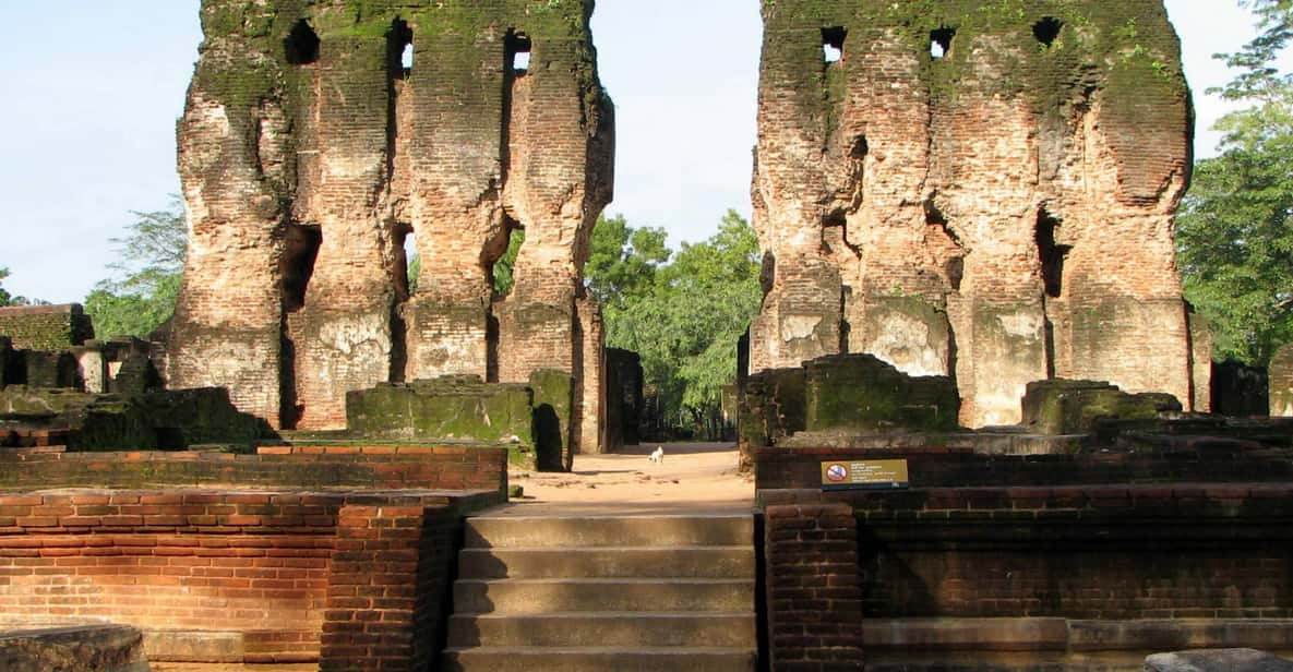 Polonnaruwa: All-Inclusive Day Tour From Negombo - Private Group Options