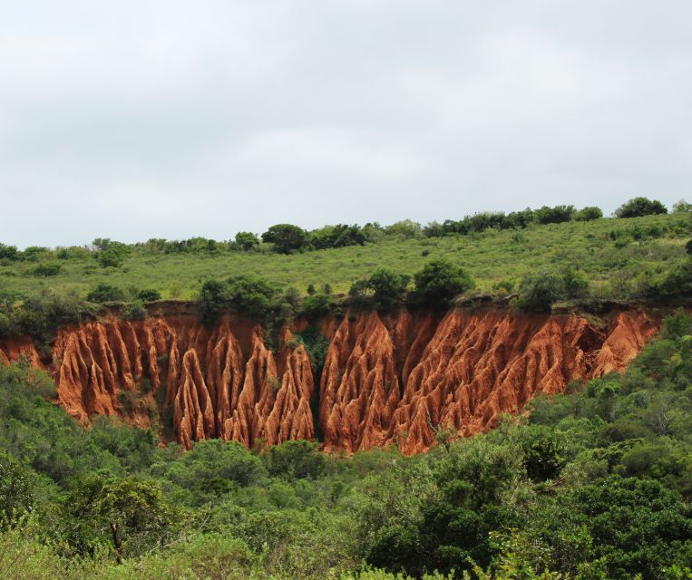 Port Elizabeth: Shore Excursion to Addo Elephant Park Safari - Booking and Reservations