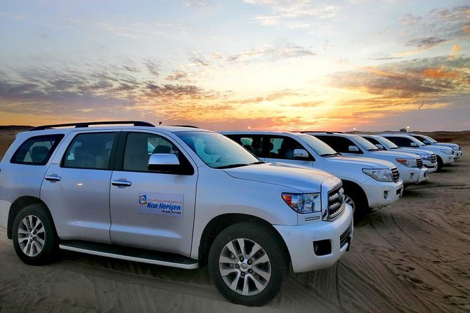 Premium Red Dune Safari, Sandboarding, Camel Ride, 5* BBQ Dinner - Tips for a Memorable Experience