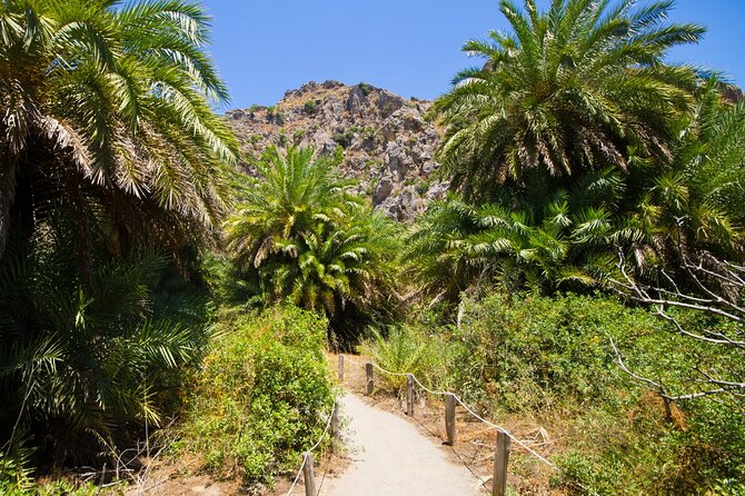 Preveli Palm Beach Boat Cruise & Rethymnon Town From Heraklion - Exploring Rethymnons Old Town
