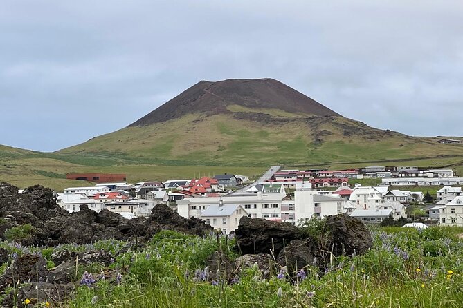 PRIVATE 2-Hours Tour With a Westman Islands Local in a BMW X5 - What to Expect