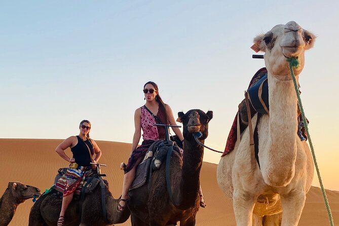 Private 4 Days Tour From Marrakech to Fes Via Merzouga Desert - Customer Experiences and Reviews