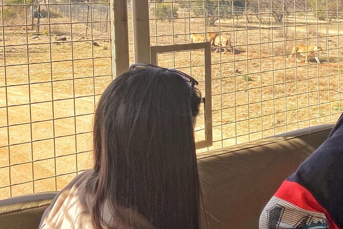 Private 5-Hour Lion Park Tour From Johannesburg or Pretoria - What to Expect