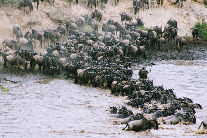 Private 7 Days Kenya Safari Amboseli, Naivasha, Nakuru, Mara - Accessibility and Participation