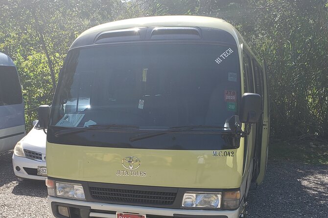 Private Airport Transfers To Negril Hotels and Villas - Customer Reviews and Feedback