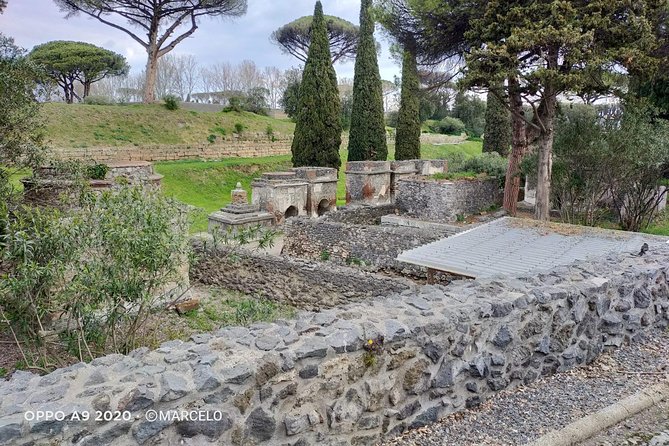 Private Archaeologist Service to Explore Pompeiis Secrets Any Time Ticket Incl. - Intimate Group Experience