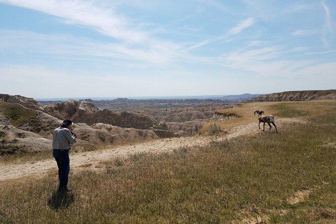 Private Badlands National Park Day Tour - Reviews and Customer Feedback