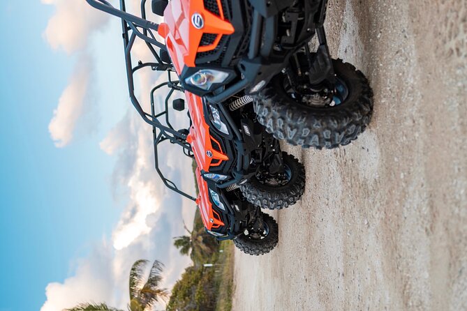 Private Buggy Excursion in Guadeloupe - Additional Details