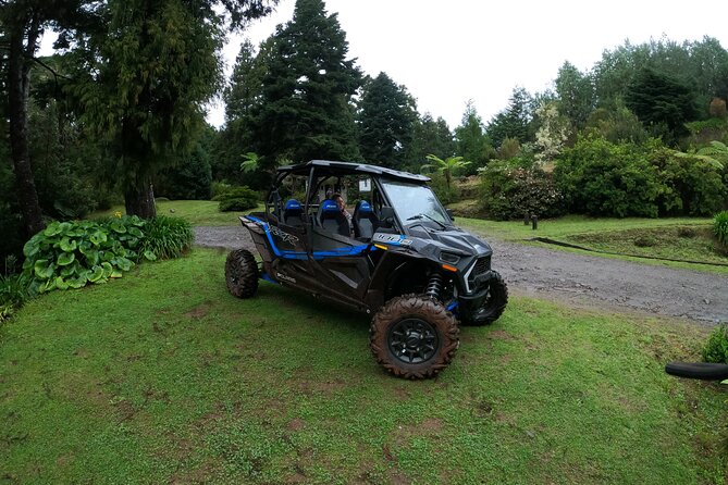 Private Buggy Off-Road Tour - Scenic Viewpoints and Stops