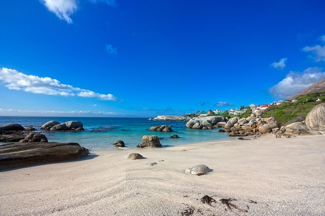 Private Cape Peninsula + Kirstenbosch Garden Full Day Guided Tour - Booking Information