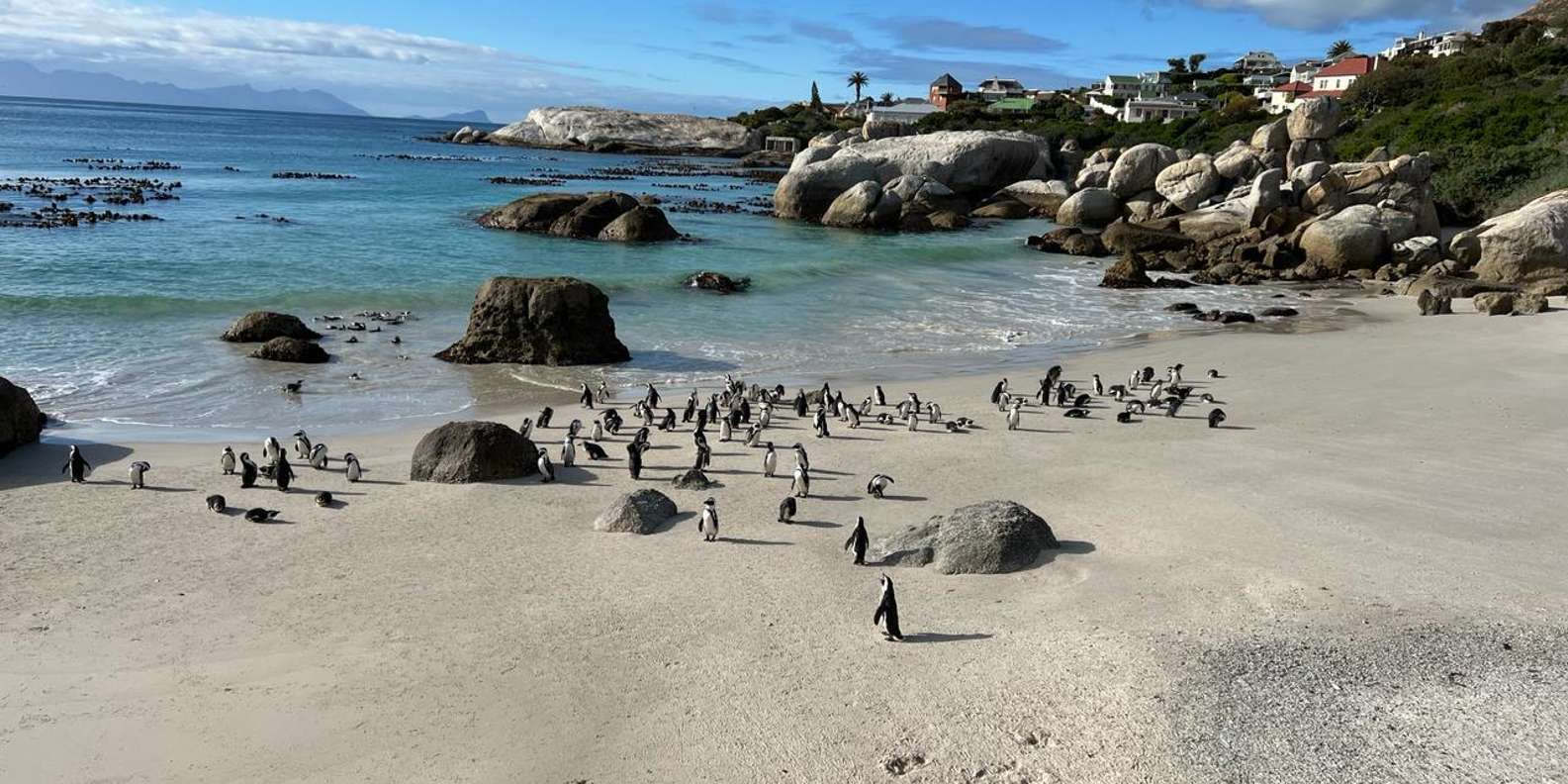 Private Cape Peninsula With Winelands Full-Day Tour. - Admiring Muizenberg Beach