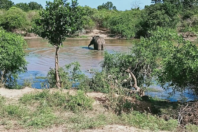 Private Day Tour in Yala National Park With Lunch - Additional Activities Nearby