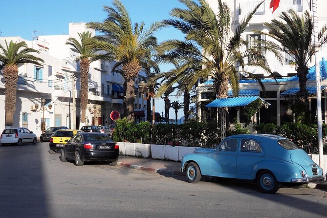 Private Day Tour: Medina of Tunis, Carthage, Sidi Bousaid With Lunch - Customer Feedback and Reviews