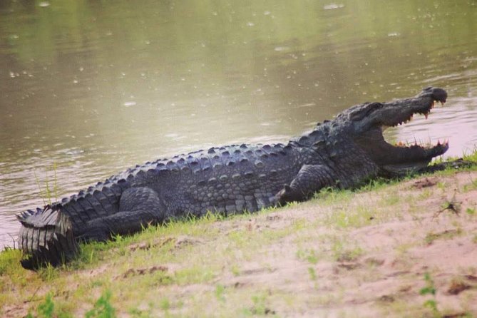 Private Day Tour: Yala National Park Safari Tour From Galle & Weligama - Customer Experiences