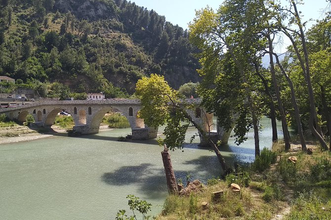 Private Day Trip to Berat From Tirana or Durres - Ask Away