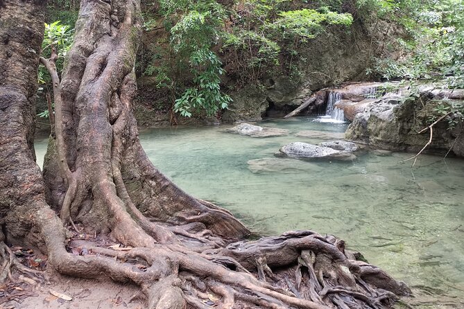 Private Excursion to Floating Market and Erawan Waterfall - Customer Experience and Reviews