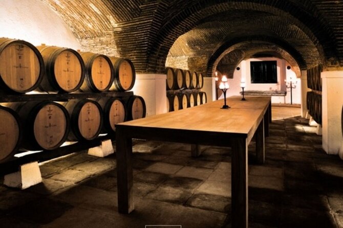 Private Full Day Evora & Alentejo Wine Tour From Lisbon - Traveler Testimonials