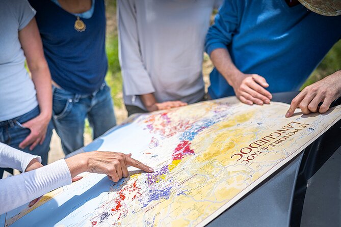 Private Full Day Pic Saint Loup Wine and Olive Tour With Lunch From Montpellier - Pricing and Cancellation Policy