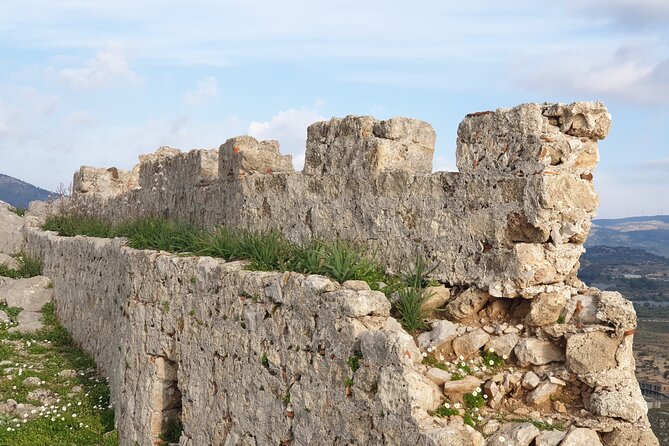Private Full Day Rhodes Island Tour With Wine Tasting Experience - Booking and Contact Information