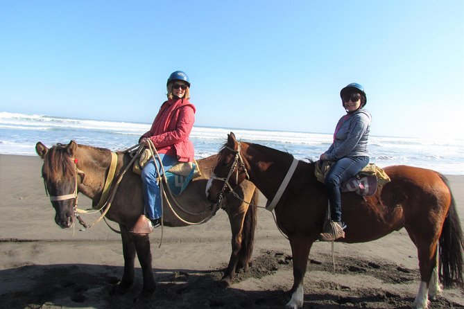 Private Full Day Tour to Concon, Vina Del Mar, and Valparaiso + 1 Activity - Customer Feedback