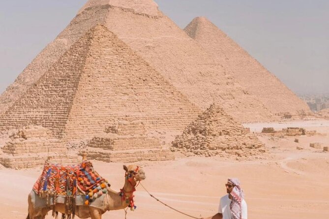 Private Full Day Tour to Giza Pyramids, Sakkara & Dahshur - Traveler Reviews