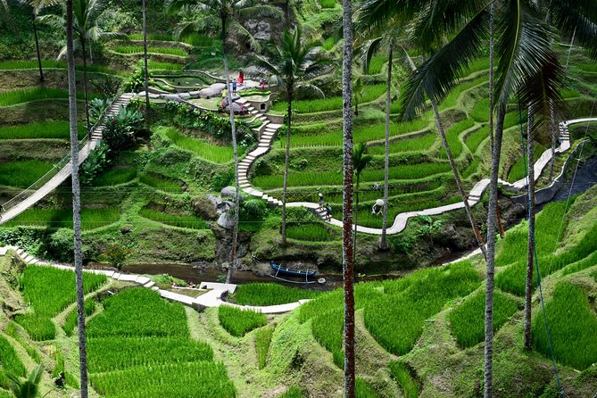 Private Full Day Tour to Ubud Highlights With Giant Swing - Cancellation Policy