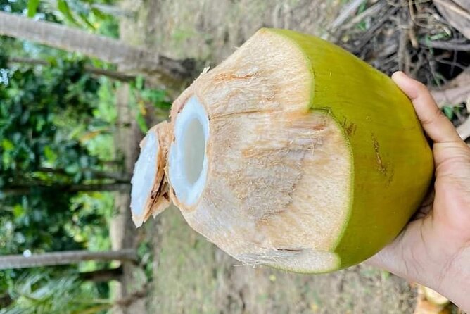 Private Full Day Trip to Stone Town, Spice Farms and Jozani Forest - Customer Feedback and Improvements