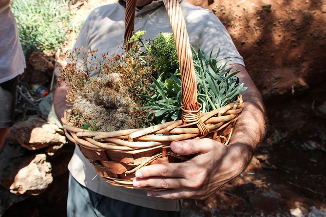 Private Greek Cooking Class and Foraging Experience in Syros - Traveler Recommendations