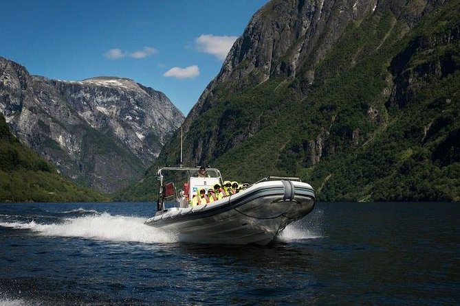 Private Guided Day Tour - RIB Nærøyfjord Safari & Flåm Railway - Sum Up