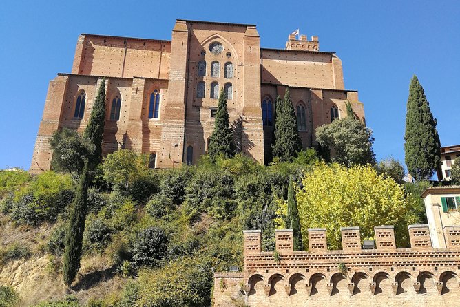 Private Guided Tour of Siena With a Licensed Local Tour Guide - Tour Expectations and Requirements