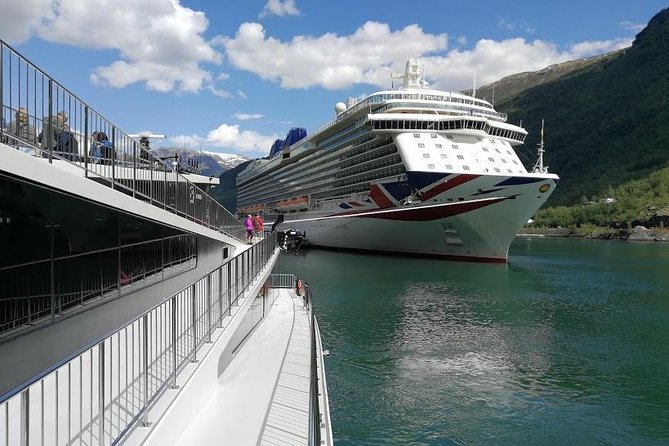 Private Guided Tour - Premium Nærøyfjord Cruise and Flåm Railway - Private Guided Experience