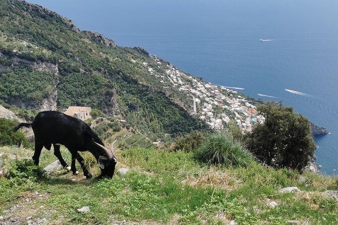 Private Guided Tour to the Path of the Gods - Half Day - Highlights of the Tour