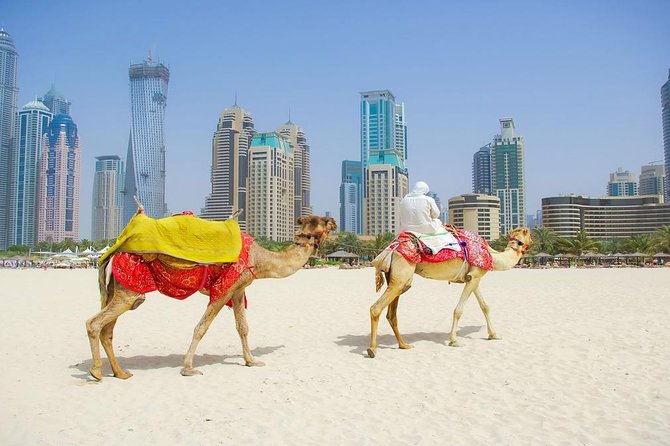 Private Half Day Modern Dubai City Tour With Lunch - Pricing Details