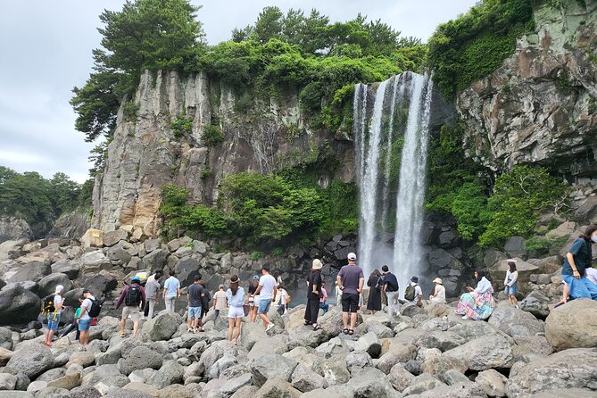 Private Half Day South and West Tour in Jeju Island - Transportation and Safety Features