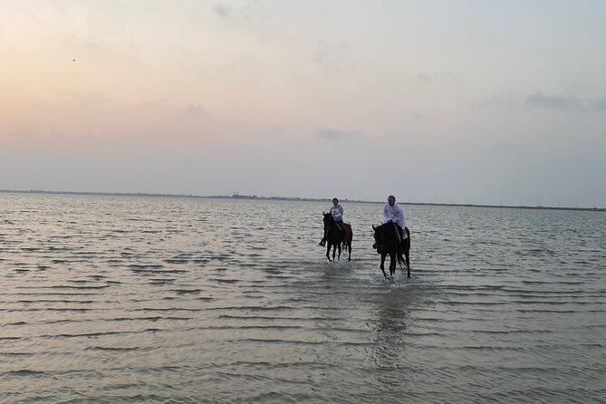 Private Horse Riding Experience at Red Sea - How to Prepare for Your Ride