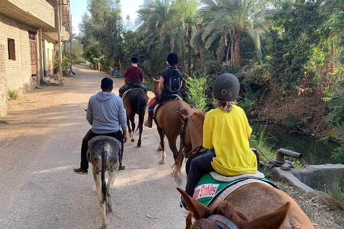 Private Horse Riding Tour in Luxor West Bank - Tips for Enjoying Your Ride